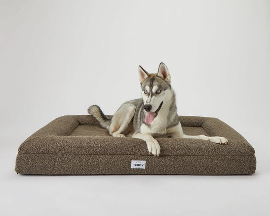 Large Boucle Dog Bed in Brown/Khaki - Pip & Roe 🐾