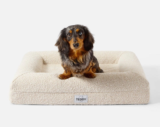 Small Boucle Dog Bed in White - Pip & Roe 🐾