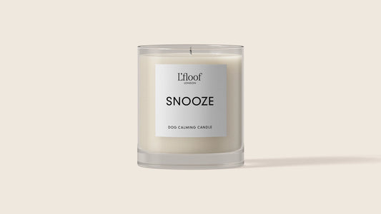 Dog Calming Candle - Snooze - Pip & Roe 🐾