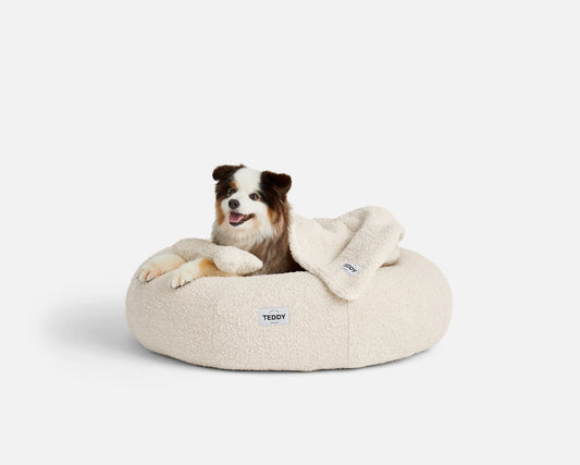 Small Boucle White Cloud Bed for Dogs - Pip & Roe 🐾