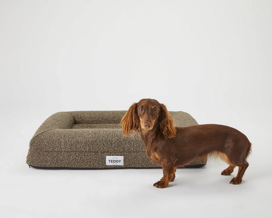 Small Boucle Dog Bed in Brown/Khaki - Pip & Roe 🐾