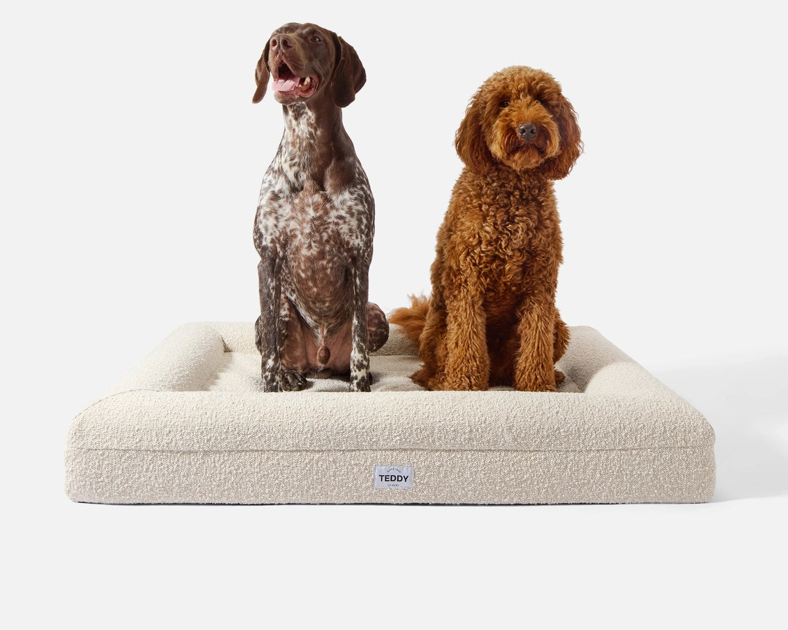 Large Boucle Dog Bed in White - Pip & Roe 🐾