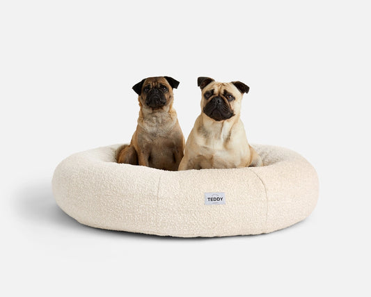 Medium Boucle White Cloud Bed for Dogs - Pip & Roe 🐾