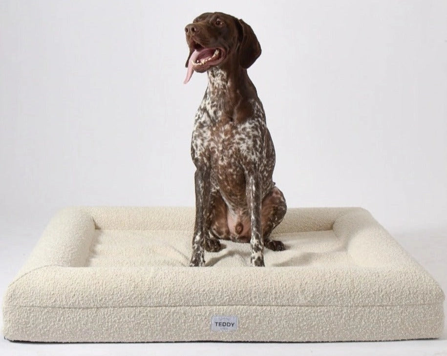 Large Boucle Dog Bed in White - Pip & Roe 🐾