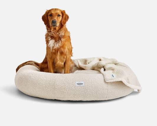 Large Boucle White Cloud Bed for Dogs - Pip & Roe 🐾